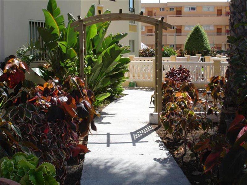 Apartamento Los Ficus Playa Del Inlges Playa del Inglés Extérieur photo